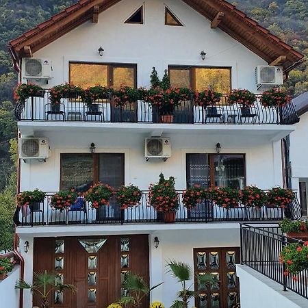 Apartament Casa Mimi Băile Herculane Zewnętrze zdjęcie
