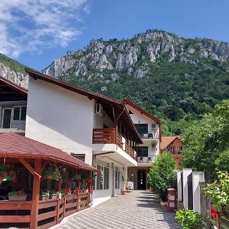 Apartament Casa Mimi Băile Herculane Zewnętrze zdjęcie