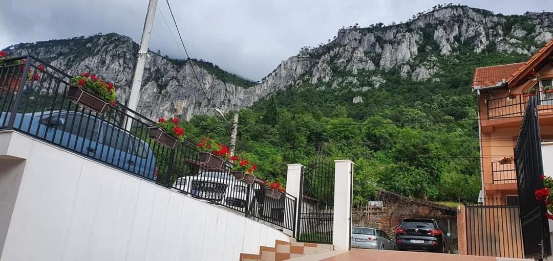 Apartament Casa Mimi Băile Herculane Zewnętrze zdjęcie