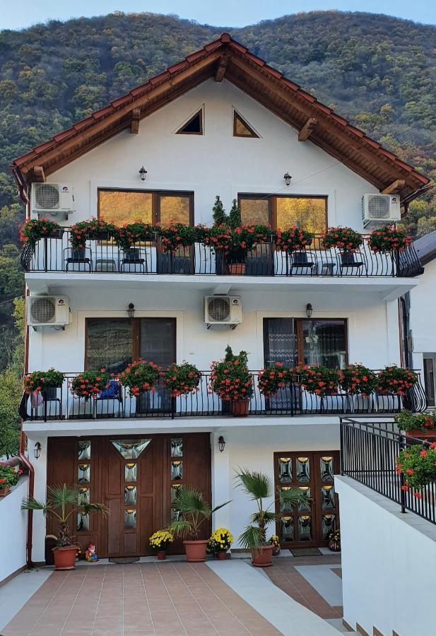 Apartament Casa Mimi Băile Herculane Zewnętrze zdjęcie
