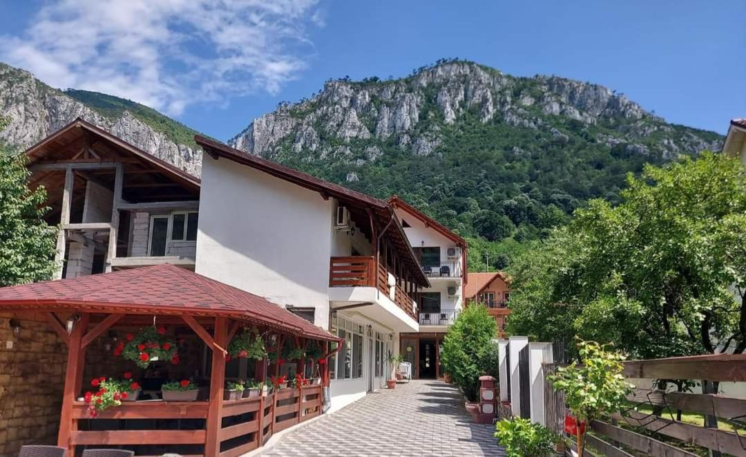 Apartament Casa Mimi Băile Herculane Zewnętrze zdjęcie